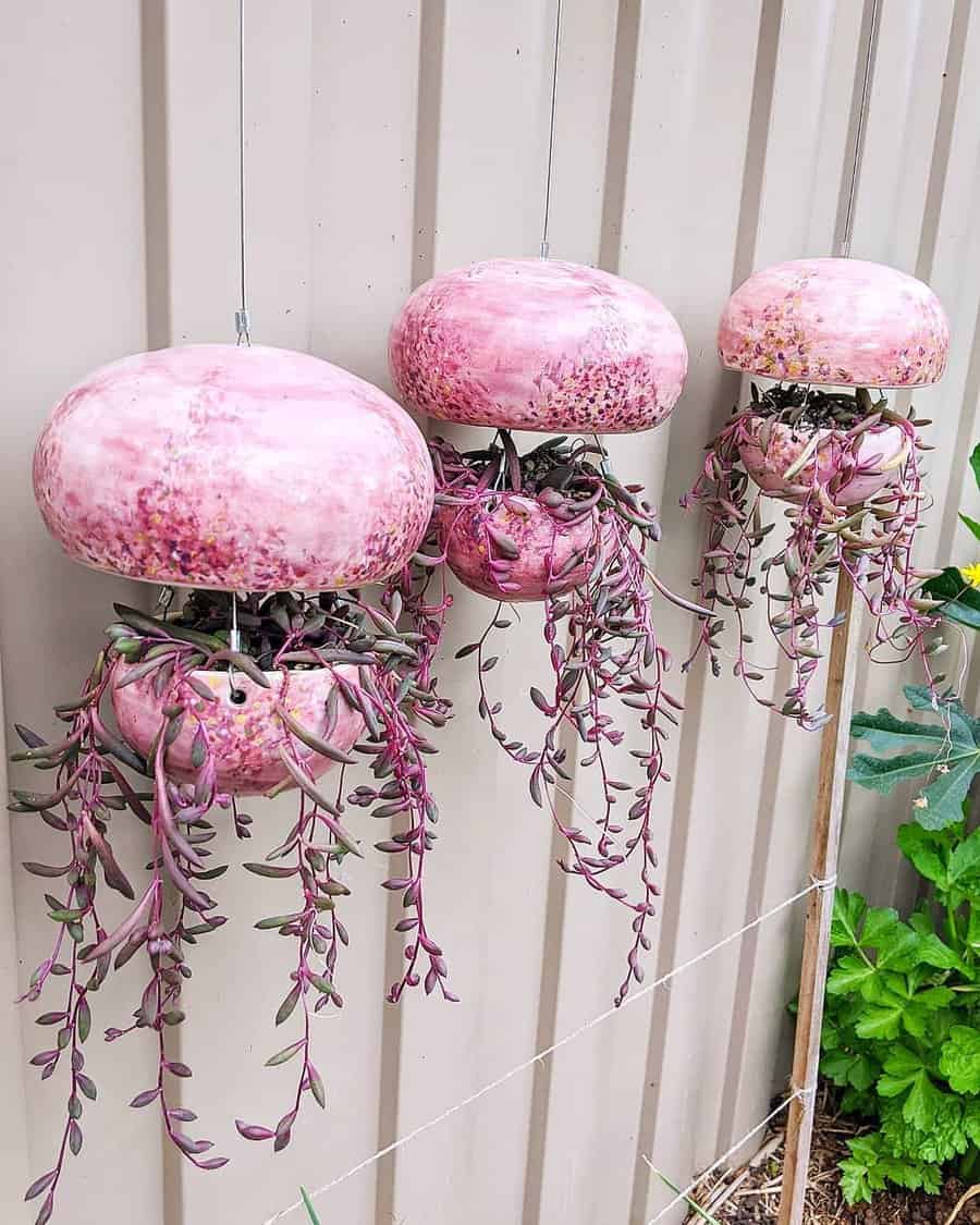 Hanging Succulent Garden Ideas Charmingsucculents