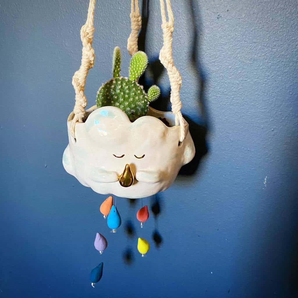 Hanging Succulent Garden Ideas Plantingintheheights