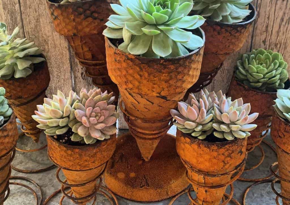 Planter Succulent Garden Ideas Succulentrose