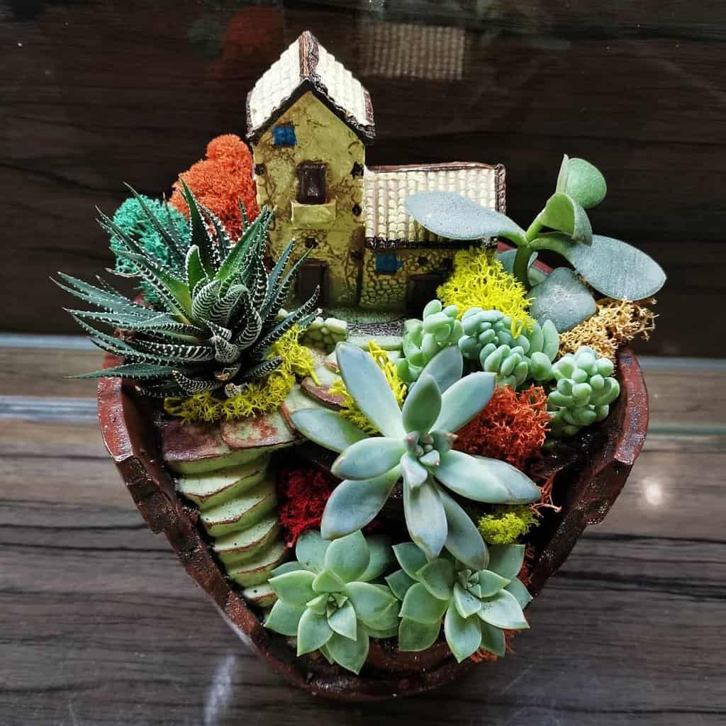 Succulent Garden Arrangement Ideas Sakhflora Buket Podarok