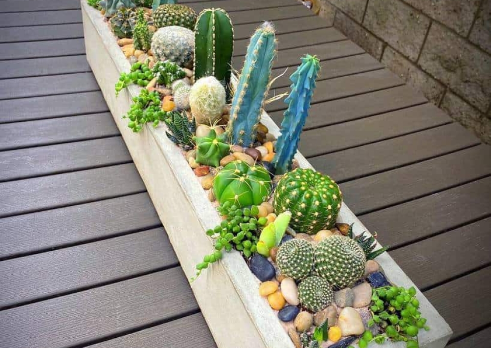 Succulent Garden Arrangement Ideas Succu Lents U