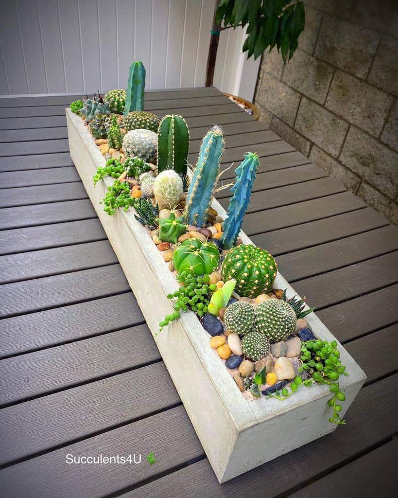 Succulent Garden Arrangement Ideas Succu Lents U