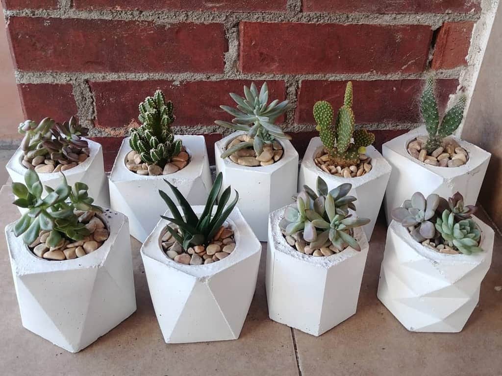 Terrarium Succulent Garden Ideas Azucenablanca Suculentas