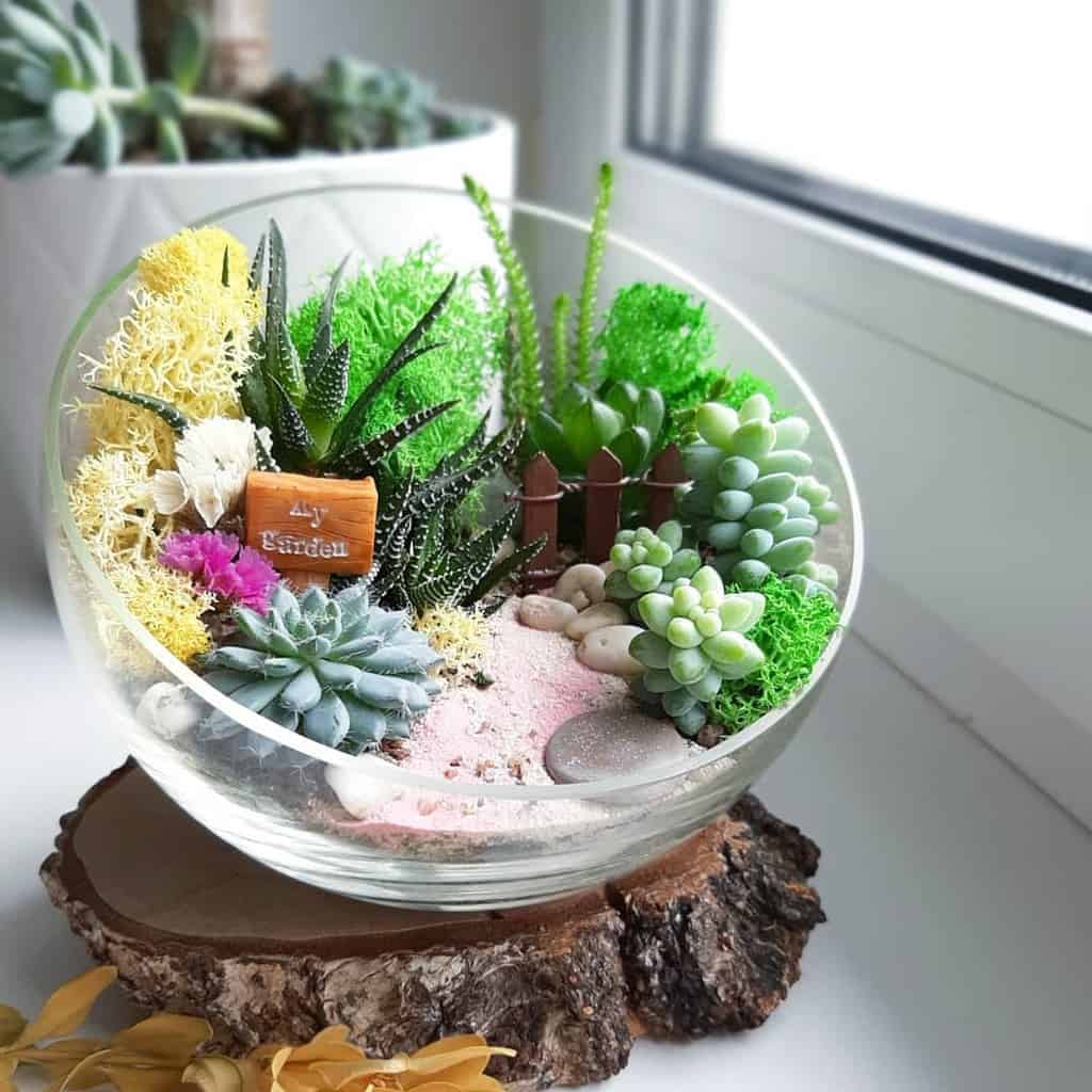 Terrarium Succulent Garden Ideas Florarium Minigarden