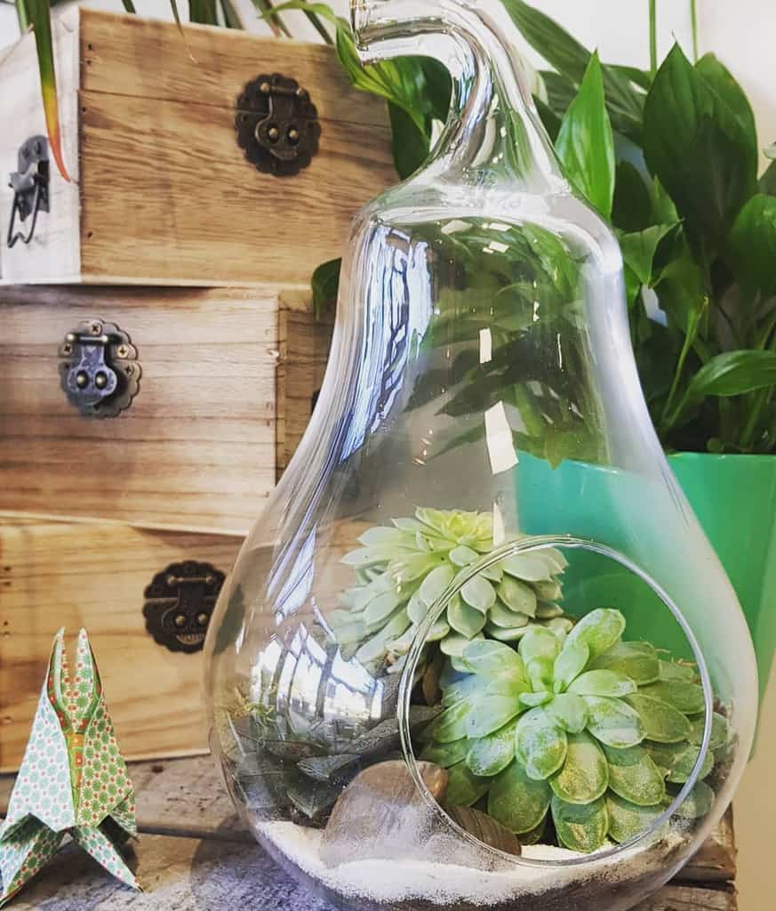 Terrarium Succulent Garden Ideas Lea Bombe Aux Fleurs