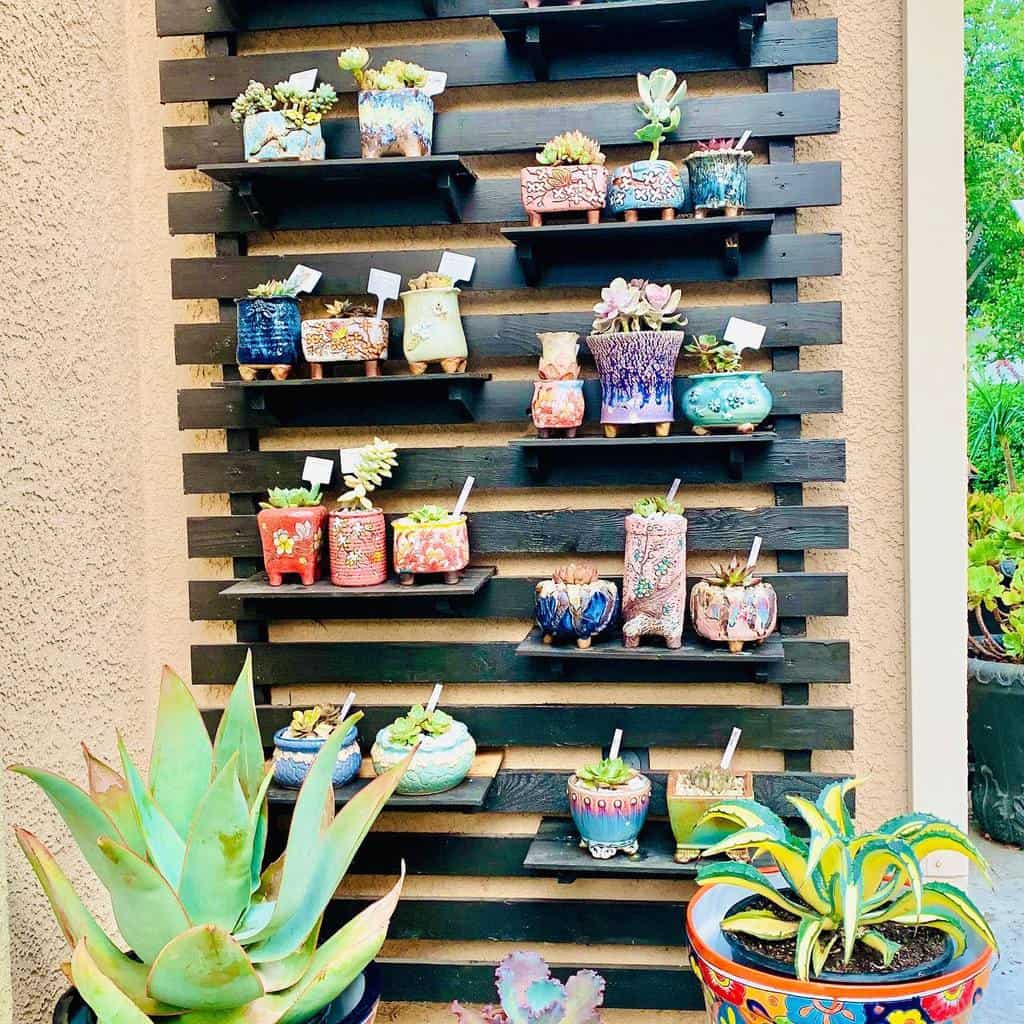 Vertical Succulent Garden Ideas Lizasuccieandplants