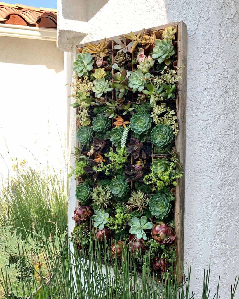 Wall Succulent Garden Ideas Jennhurless