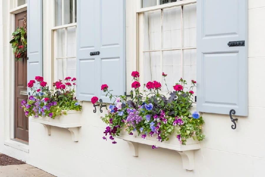 Window box