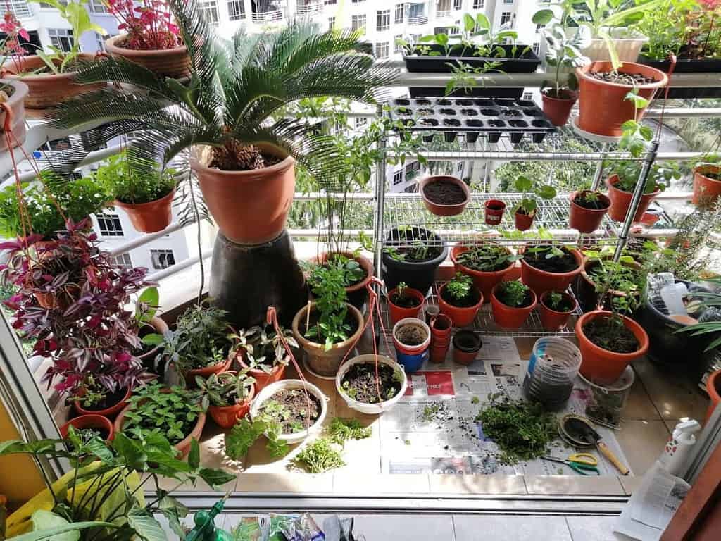 Balcony Container Garden Idea