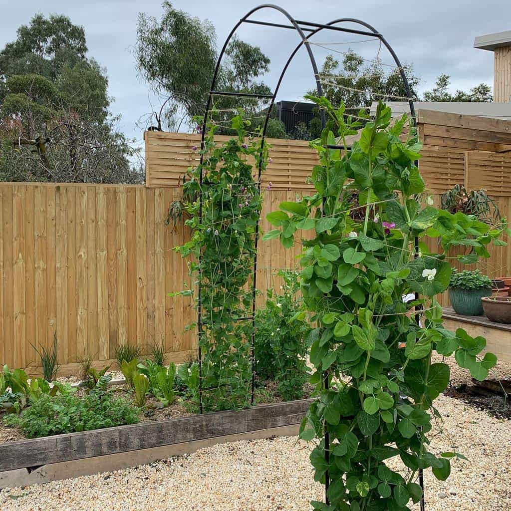 The Top 55 Trellis Ideas