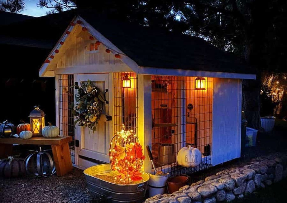 Backyard Chicken Coop Ideas K The Chicken L