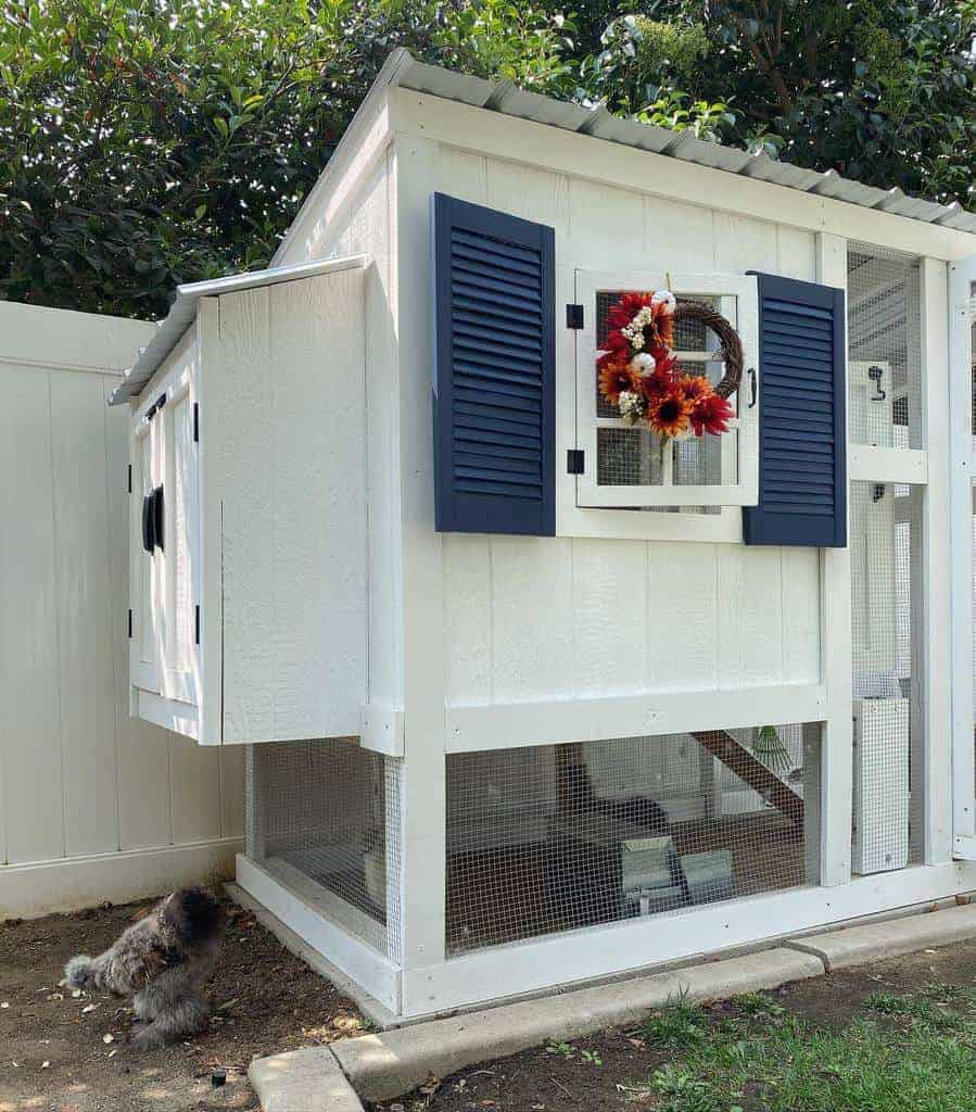 Backyard Chicken Coop Ideas Theclassiclittlecoop