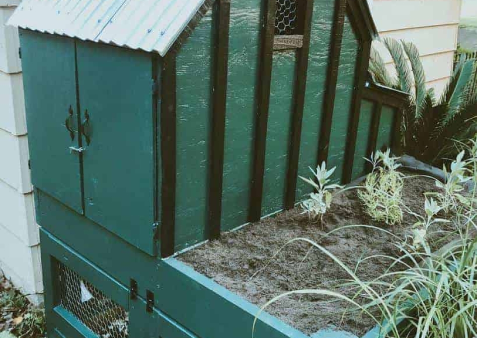 Diy Chicken Coop Ideas Littlecheoplebigworld