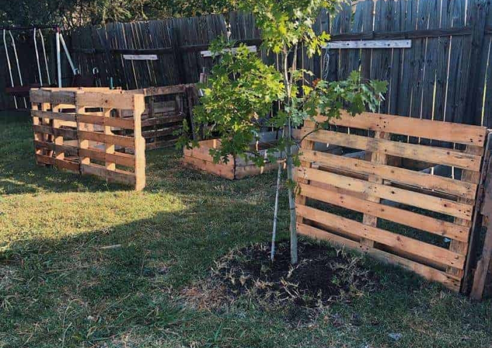 Two wooden pallets in a backyard with a tree in the middle.