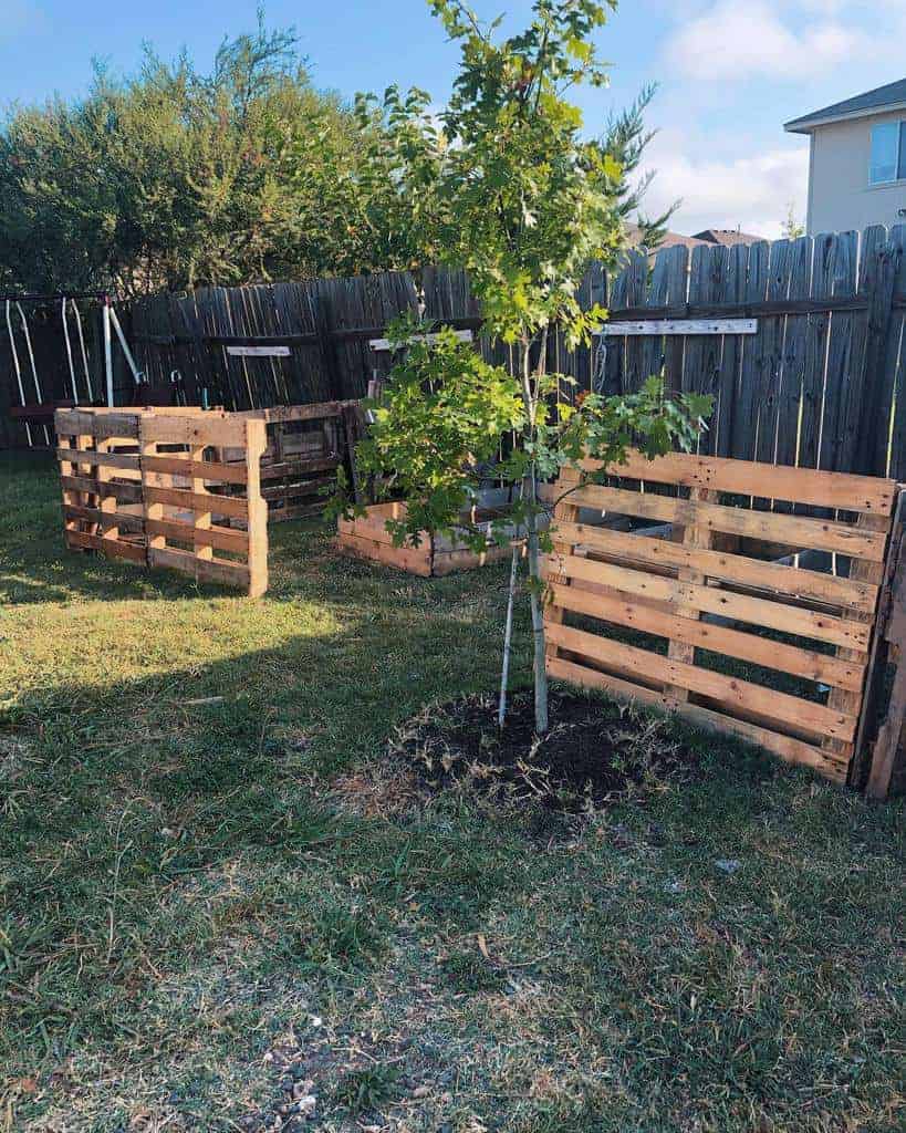 Two wooden pallets in a backyard with a tree in the middle.