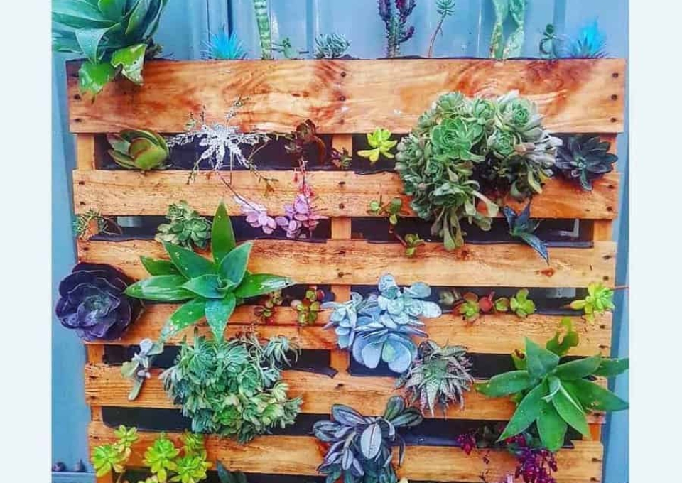 Garden Pallet Ideas Chloe M Thurks