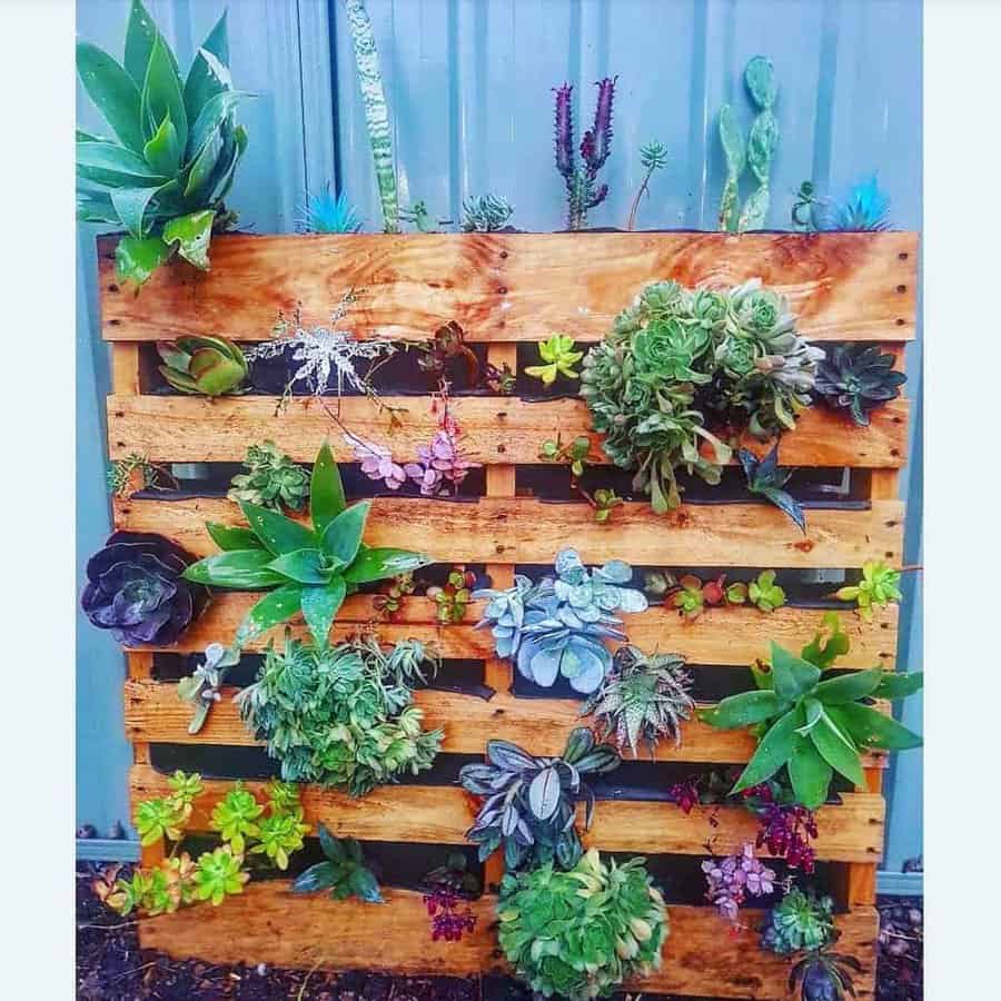 Garden Pallet Ideas Chloe M Thurks