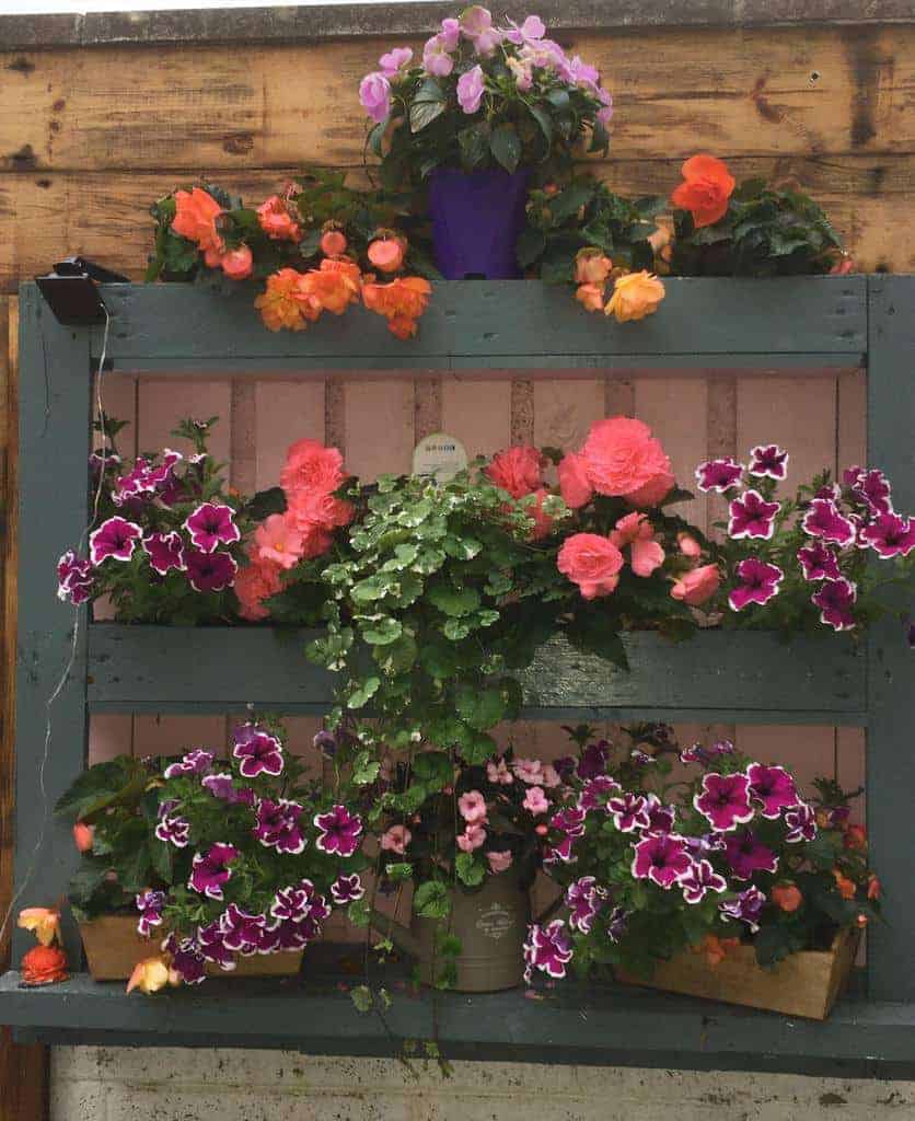 Garden Pallet Ideas Bernadette Lomasney