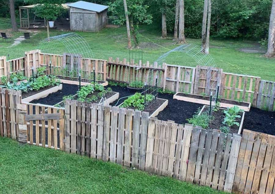 A garden made out of pallets in a backyard.