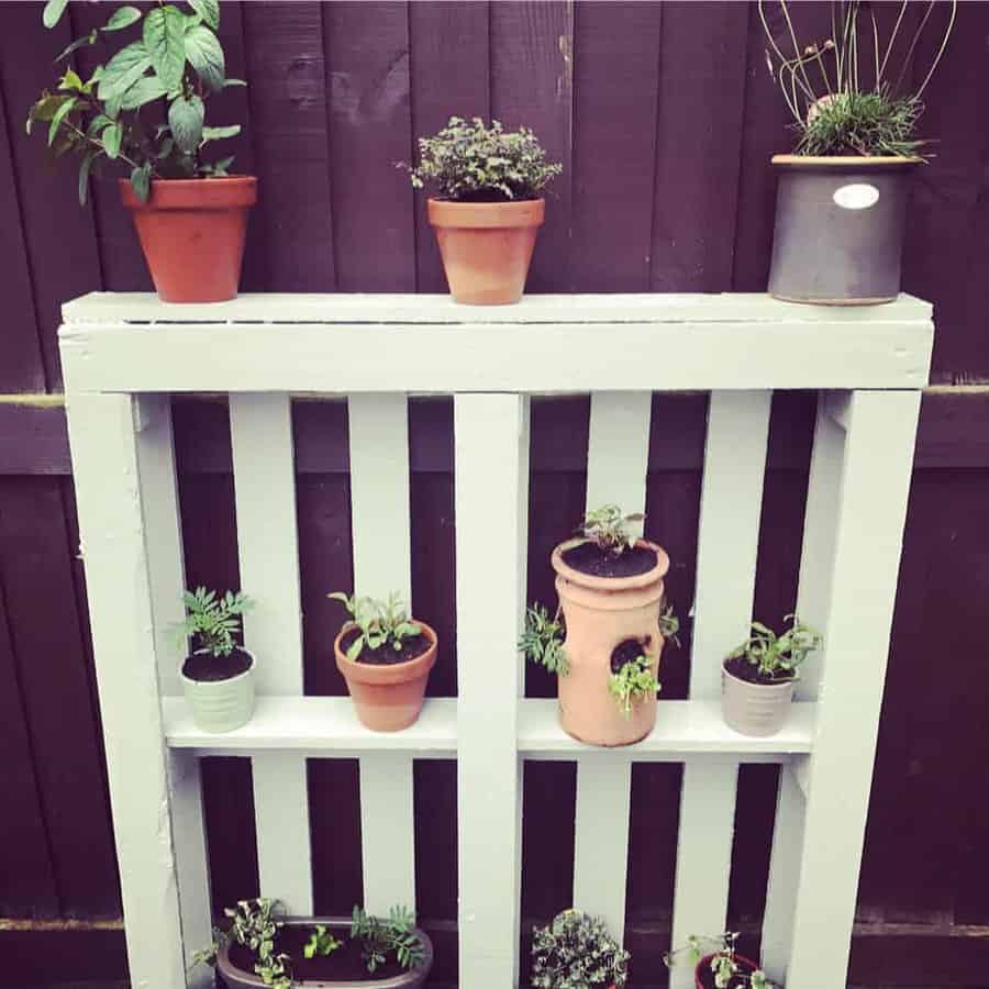 Garden Pallet Ideas Vegpatchnewbie