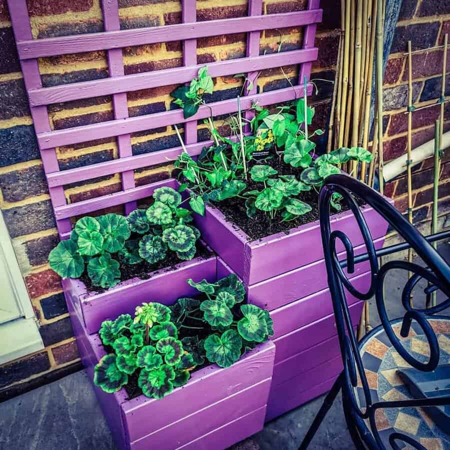 A purple planter with plants on it.