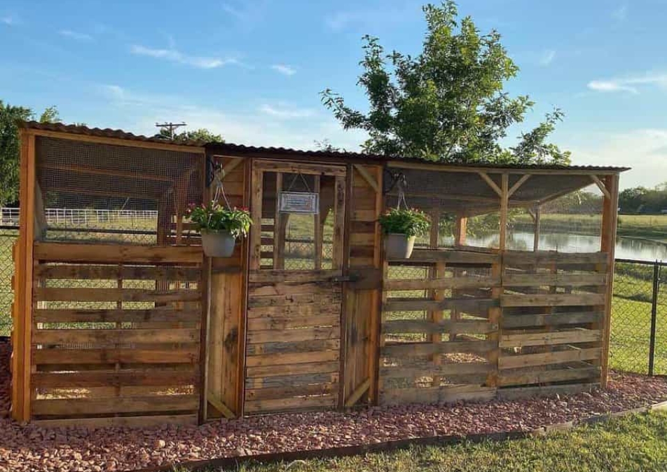 Pallet Chicken Coop Ideas Johnson Farm In Texas