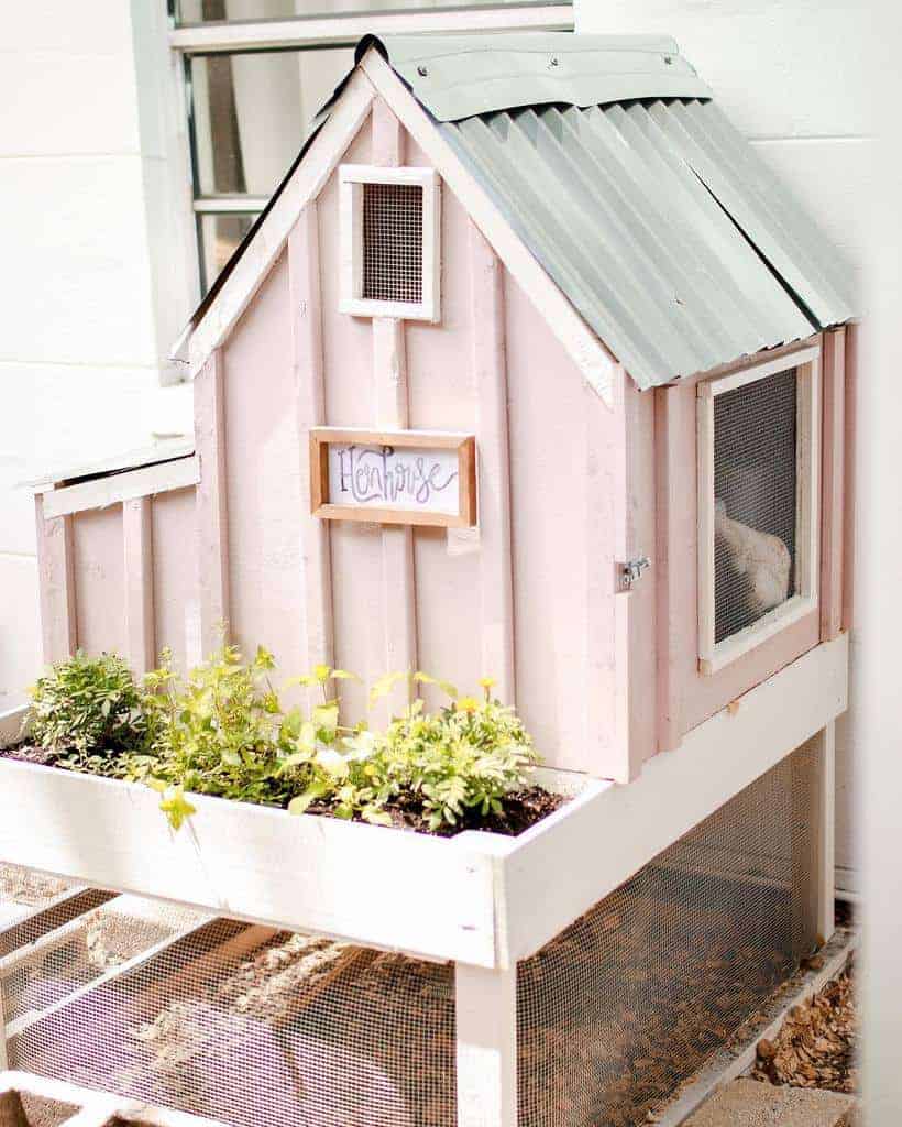 Small Chicken Coop Ideas Sarahalisonholland