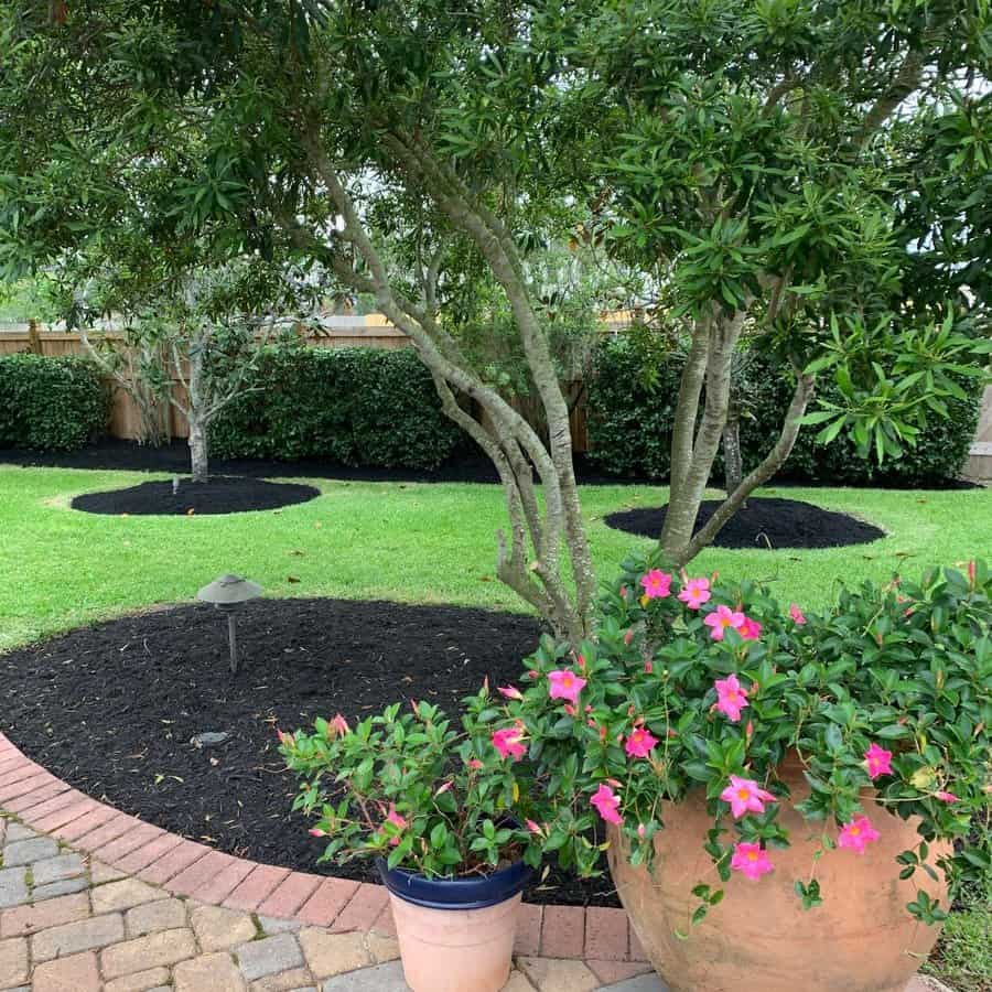 Backyard Low Maintenance Landscaping Ideas Jael Prothro