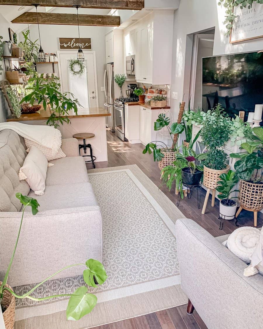 Boho Tiny Living Room Ideas Praisingplants