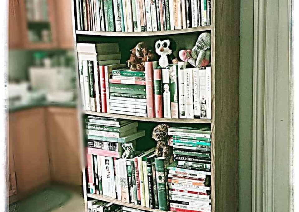 Bookshelf Living Room Storage Ideas Desu Books