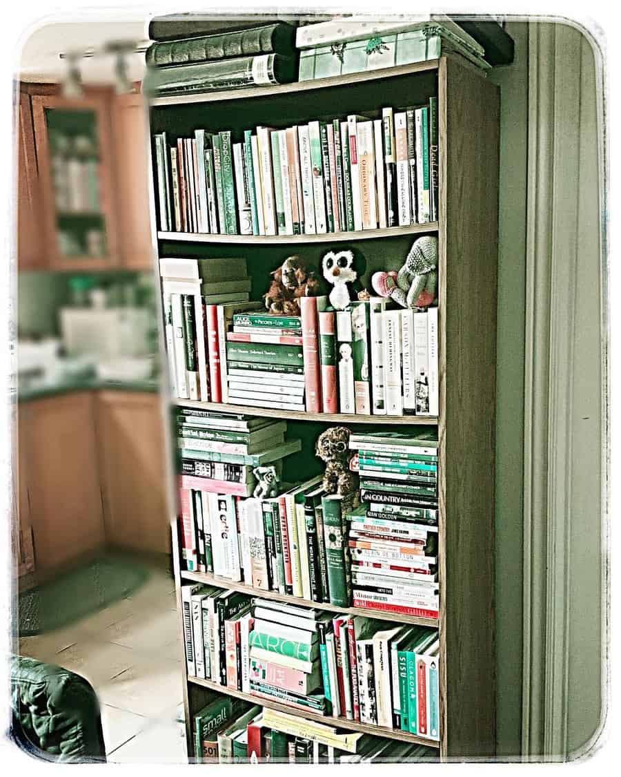 Bookshelf Living Room Storage Ideas Desu Books