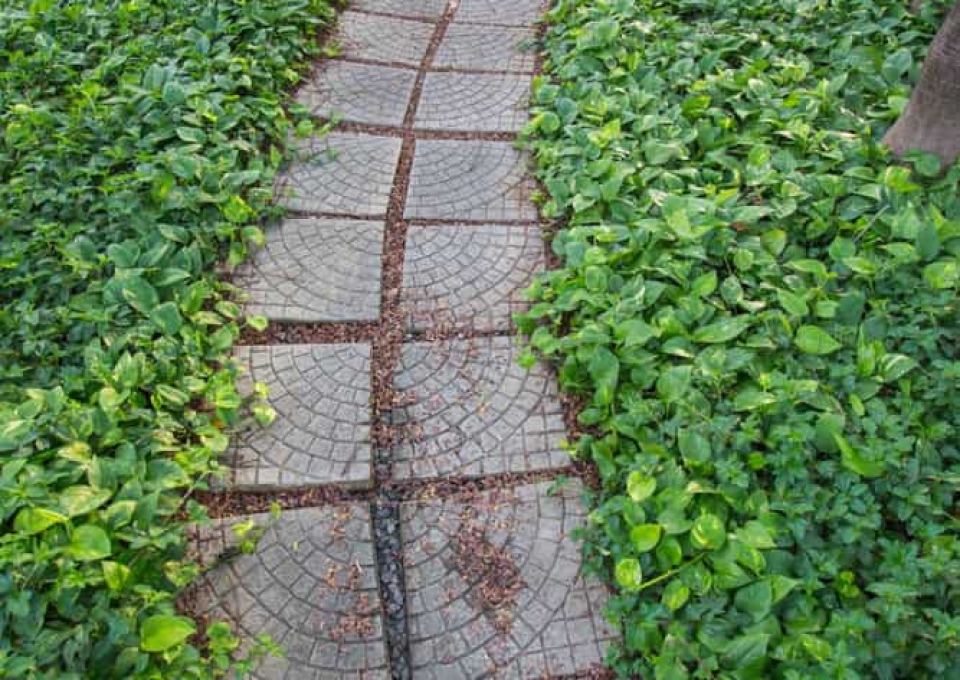 Concrete Garden Path Ideas