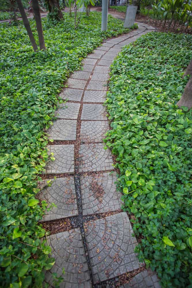 Concrete Garden Path Ideas