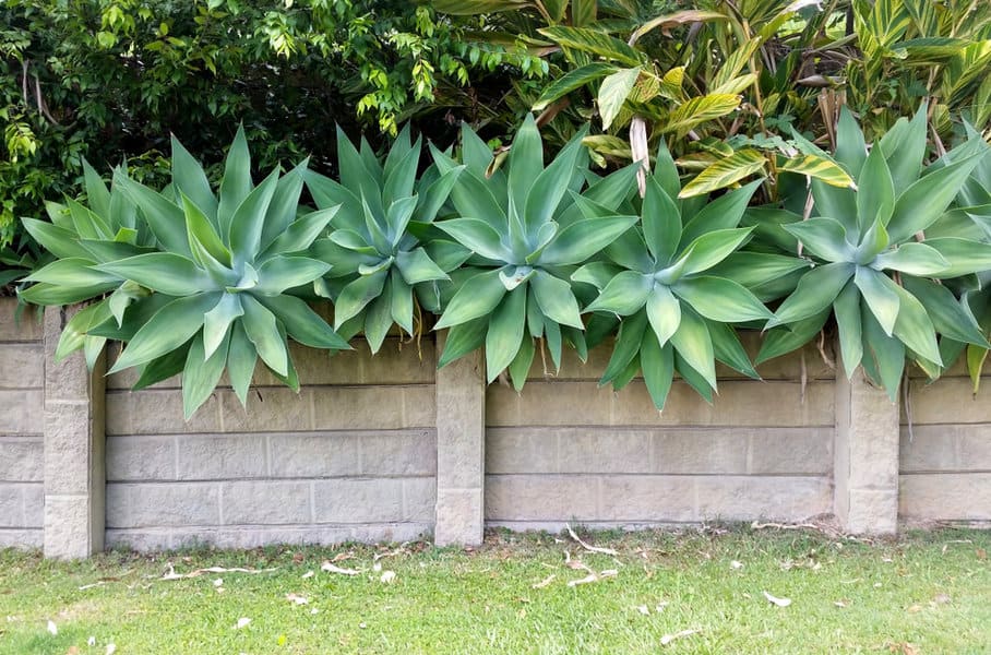 Concrete Inexpensive Retaining Wall Ideas