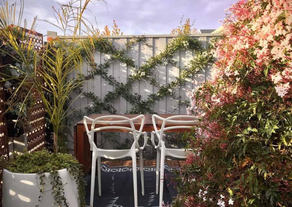 Corner Backyard Privacy Ideas Smilecrescent