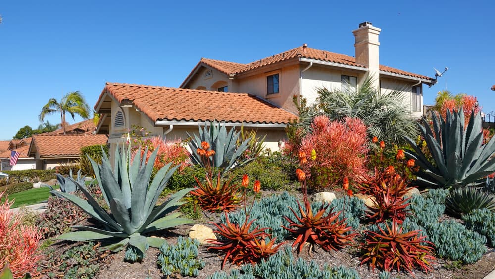 Drought Tolerant Landscaping Ideas For Front Of House