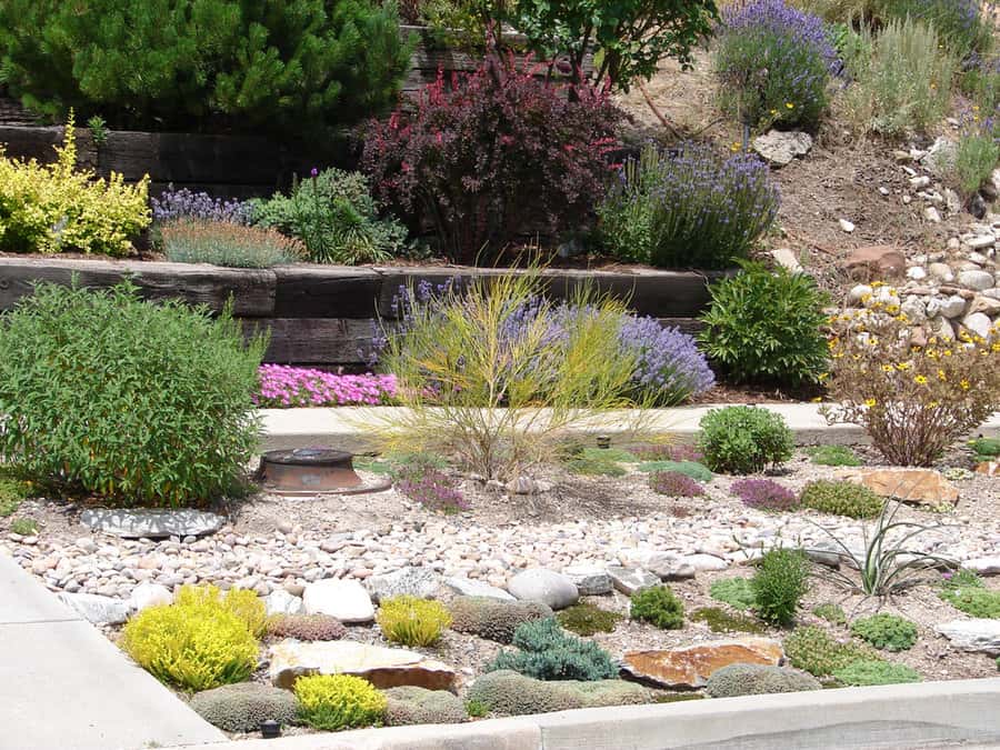 Drought Tolerant Landscaping Ideas For Front Of House