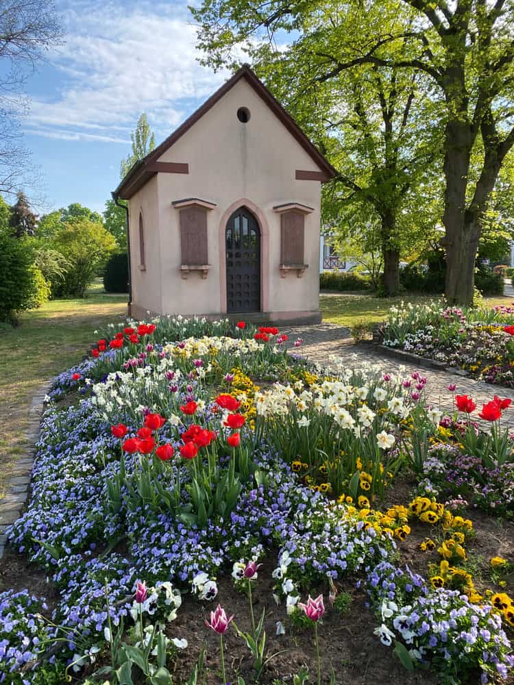 Flower Landscaping Ideas For Front Of House