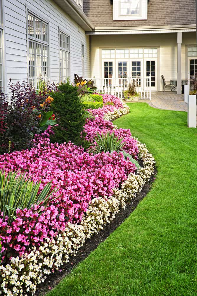 Flower Landscaping Ideas For Front Of House