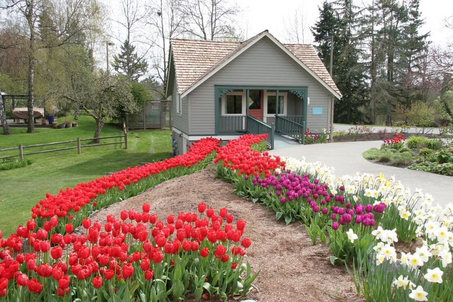 Flower Landscaping Ideas For Front Of House