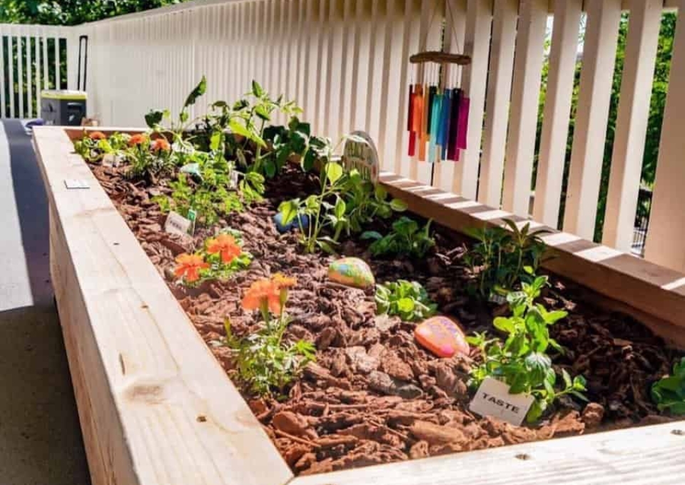 Garden Bed Garden Edging Ideas Eco Garden Jr