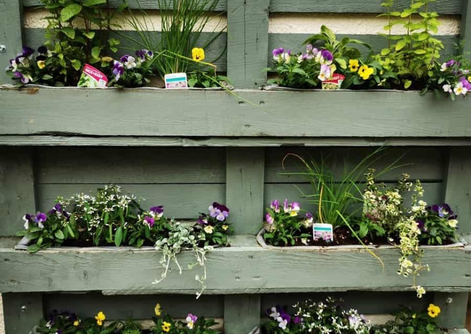 Garden Pallet Wall Ideas Eyes Through A Lens