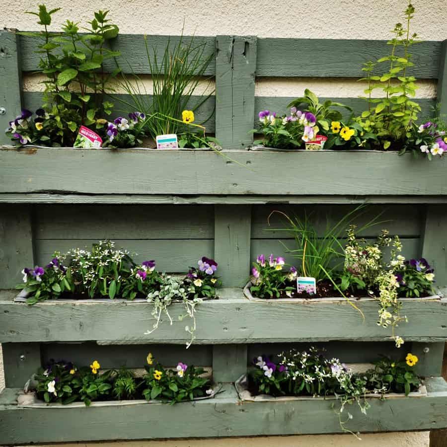 Garden Pallet Wall Ideas Eyes Through A Lens