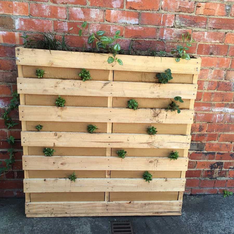 Garden Pallet Wall Ideas Candobooks