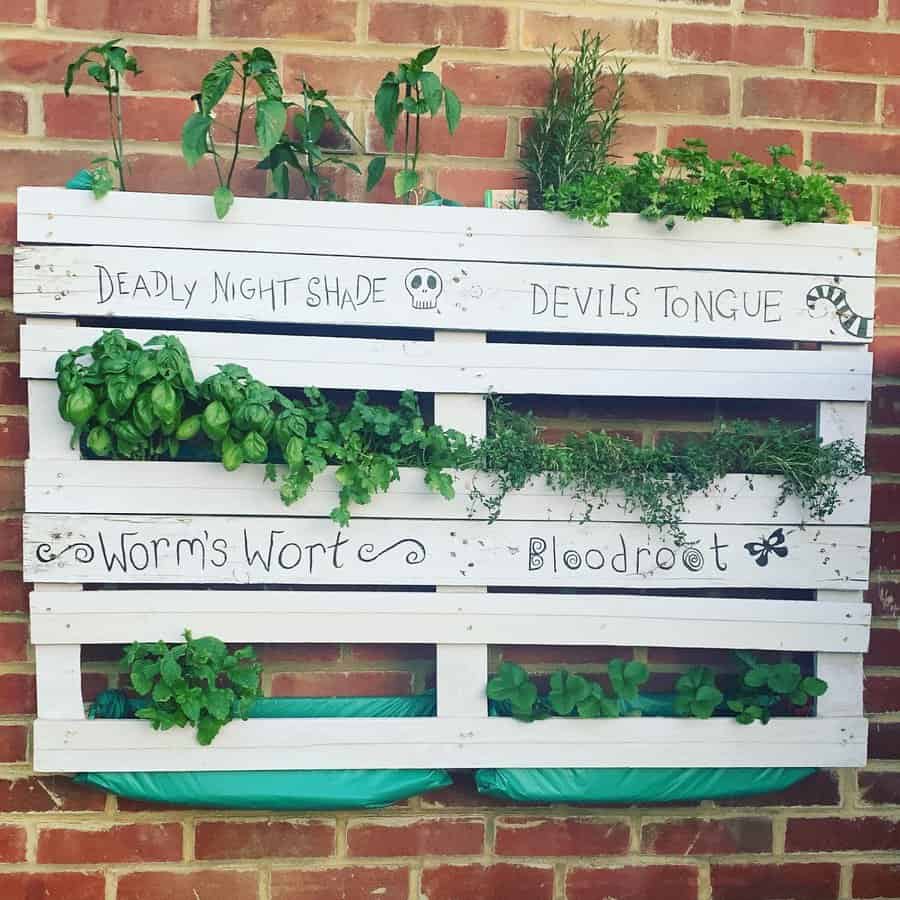 Garden Pallet Wall Ideas Rocknroll Home