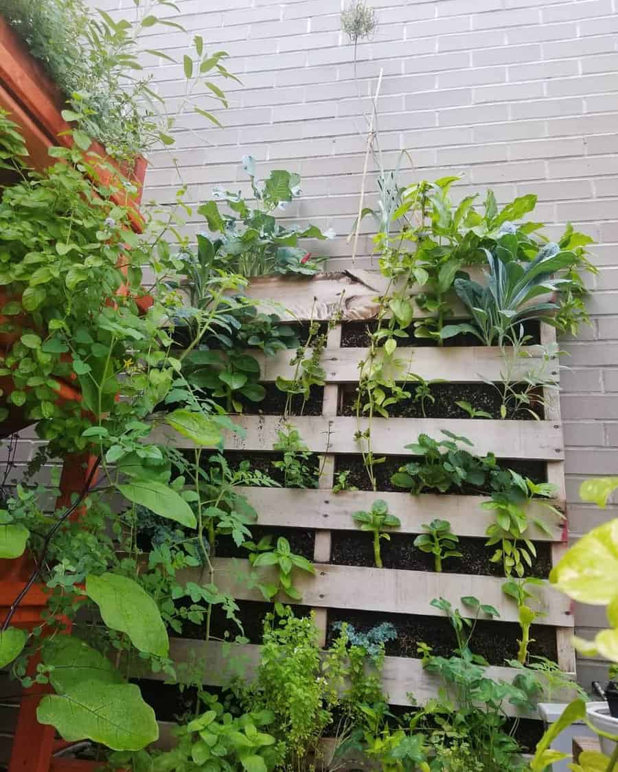 Garden Pallet Wall Ideas Samuelsfoodgardens