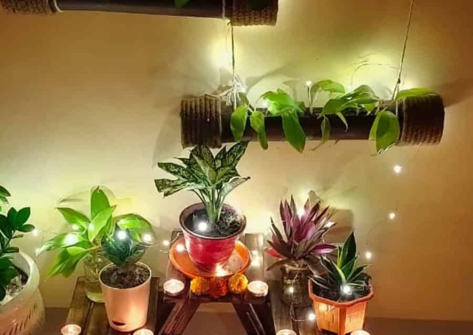 Indoor Diy Garden Ideas Momdadnkiddo