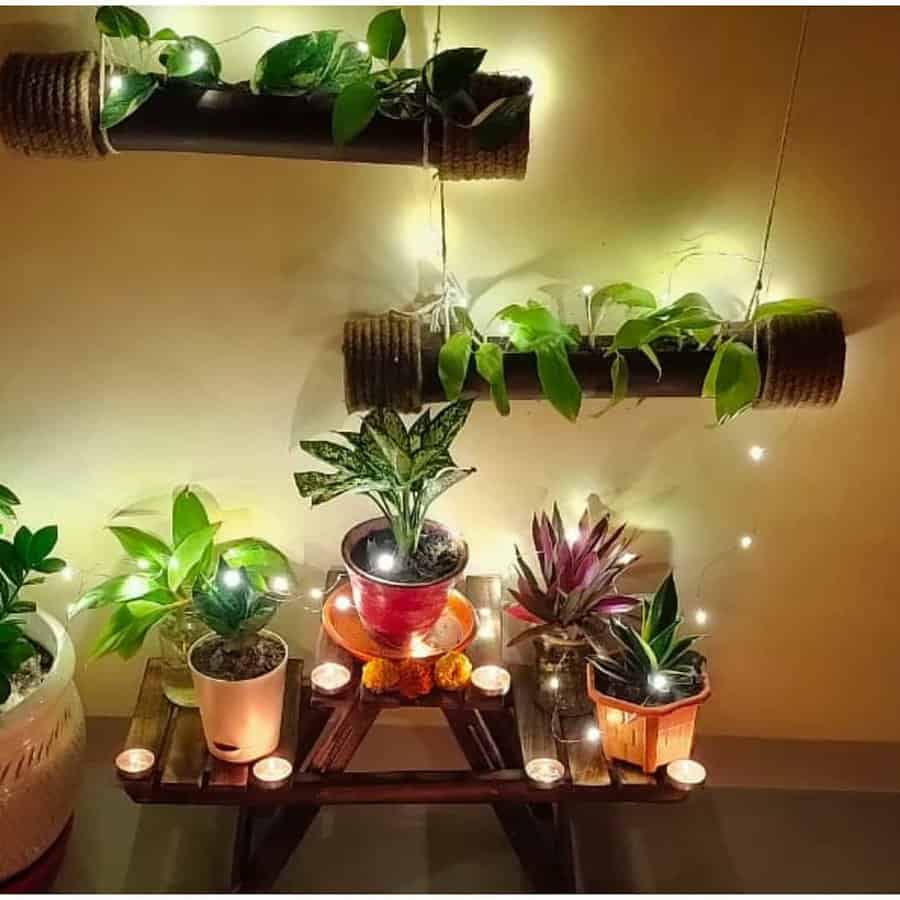 Indoor Diy Garden Ideas Momdadnkiddo