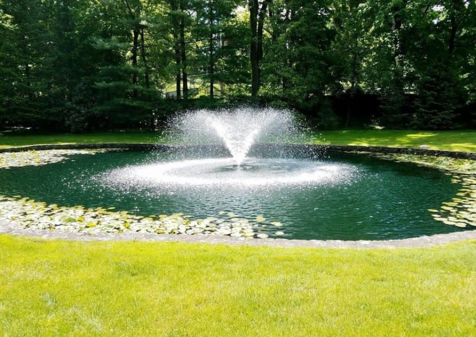 Large Backyard Pond Ideas Pro Pond And Lakes