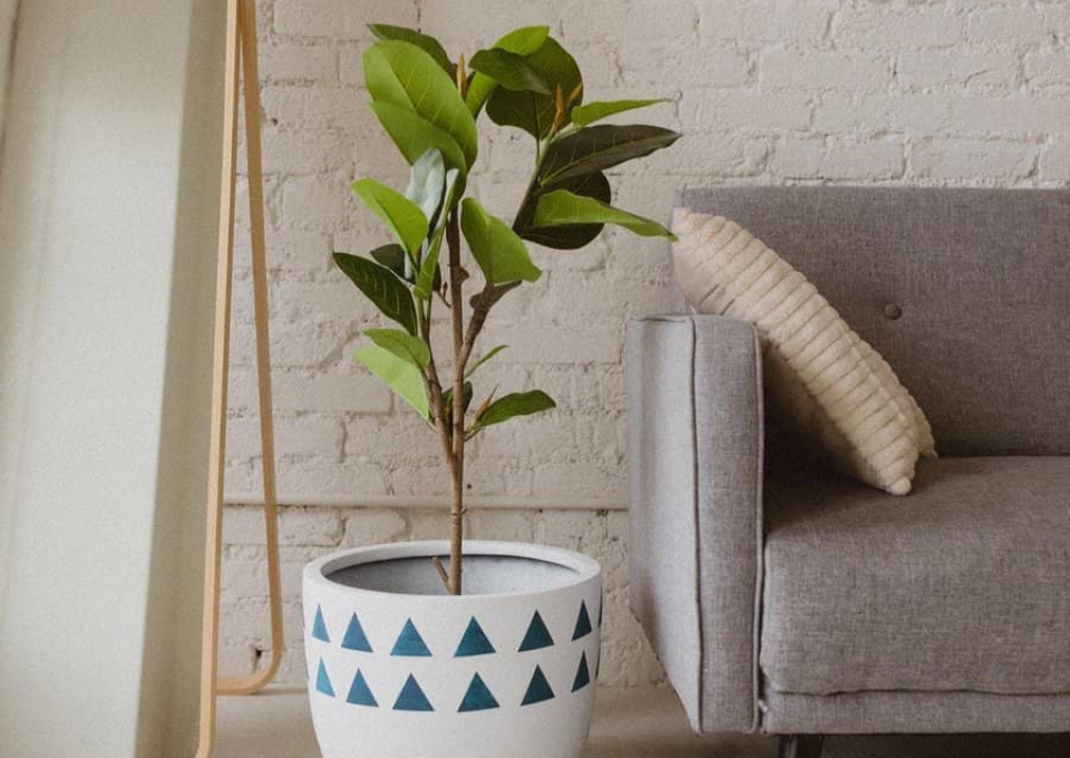 Large Planter Ideas Leftonolive